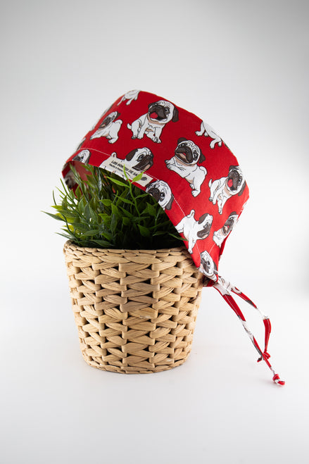 Gorro unisex  - Carlino